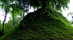 A structure, hidden under a hill with trees - Yaxha