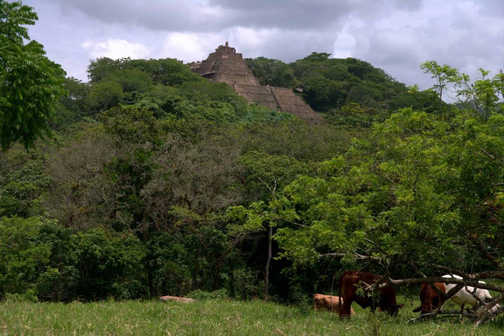 Tonina - the pyramid from a distance - Chiapas - Mexiko