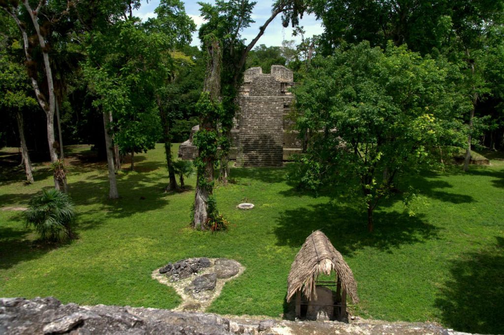 Yaxha - Pyramid with bird nests