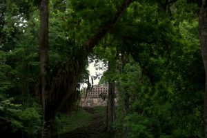 Yaxchilan - Amazing Temples of the World