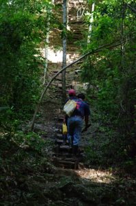 Climbing up to El Tigre - El Mirador Hike - Guatemala Adventure - Amazing Temples and Pyramids