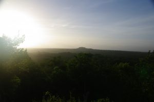The Maya Site of El Mirador in Guatemala - Standing on the El Tigre pyramid looking over the jungle to La Danta during the sunrise