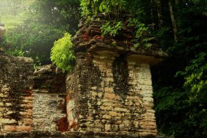 Bonampak - Top of the Pyramid