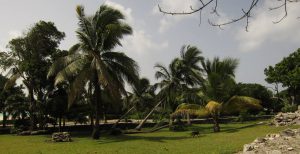 Surrounding of Xaman-Ha