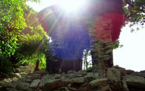 Carribean Sunlight