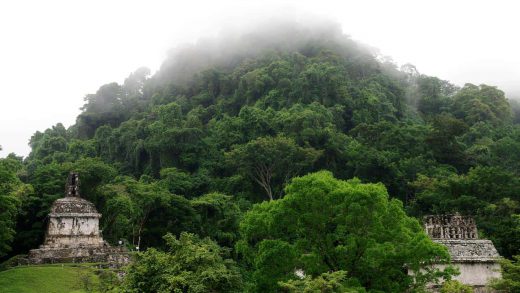 Die Kreuzgruppe in Palenque