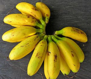 Minibananen