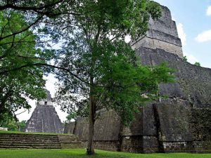 Tikal: Temple 1 and 2, standing face to face