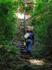 Arbeiter ersteigen El Tigre in El Mirador