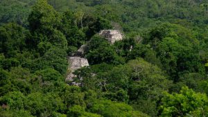 Yaxhá -Mayapyramiden im Regenwald - unbekannte Gruppe