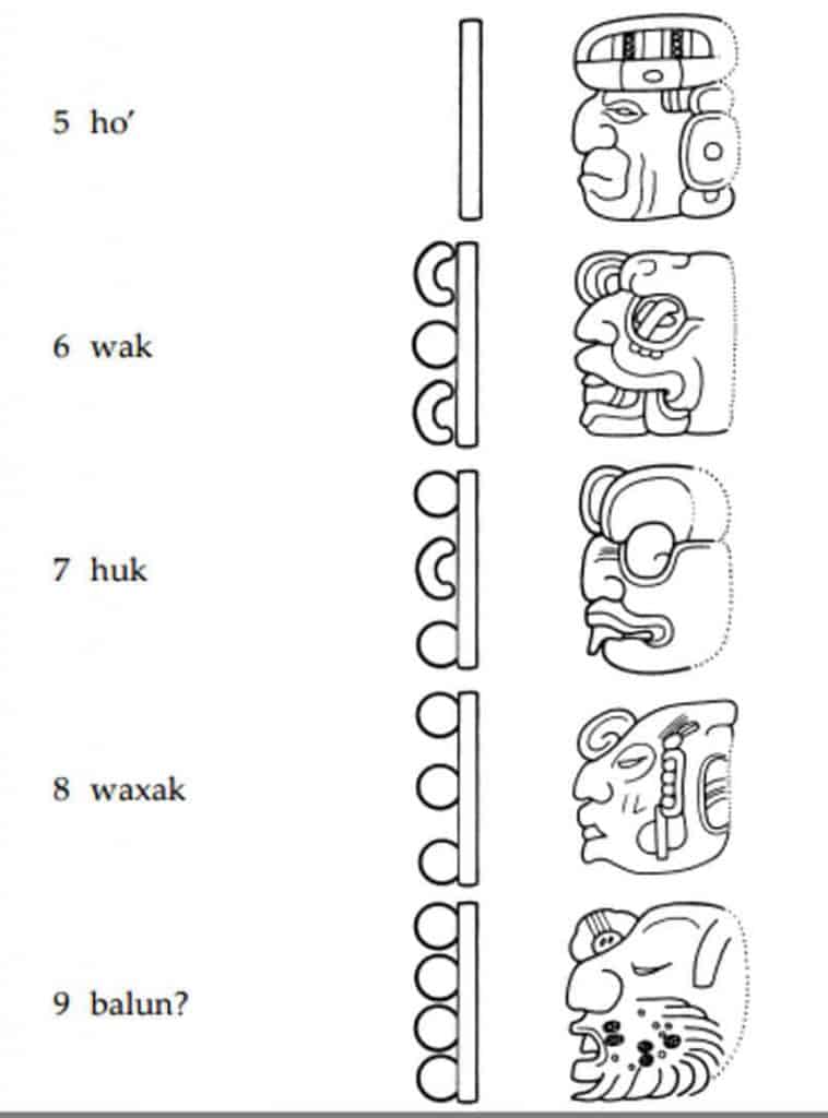 Der Mayakalender: Zahlen_5-10 - ho', wak, huk, waxak, balun