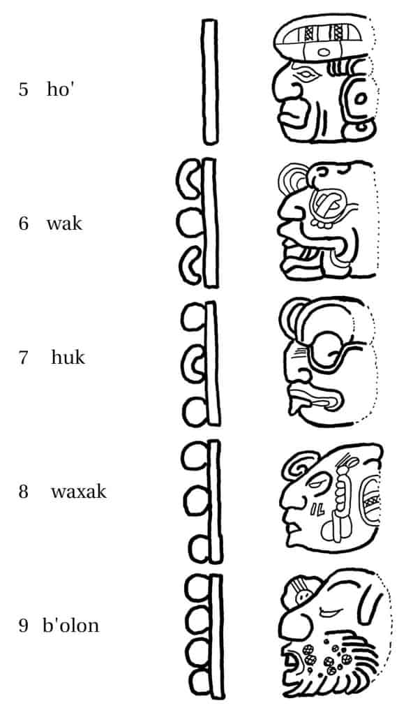 The Maya calendar Numbers 5-9 - ho', wak, huk, waxak, bolon 