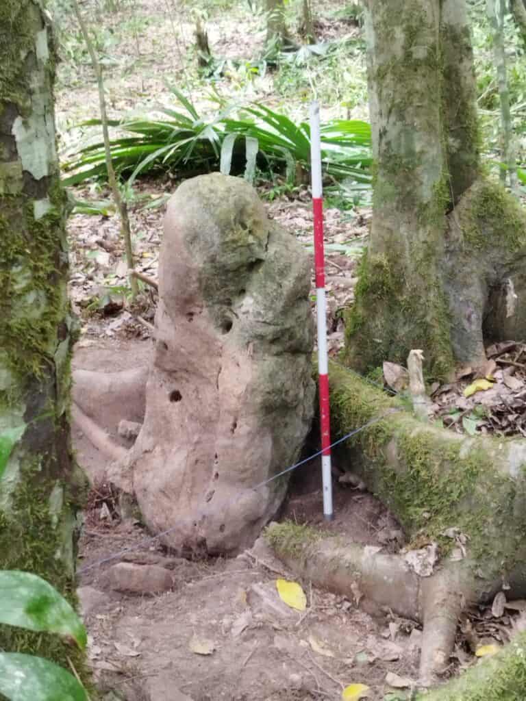 https://noticias.mcd.gob.gt/2025/05/30/ciudades-mayas-de-mas-de-dos-mil-anos-de-antiguedad-revelan-sus-secretos/