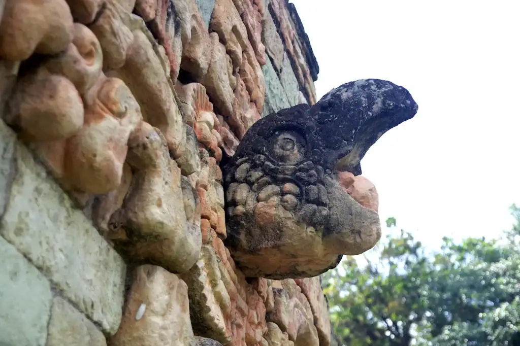 Macaw skull at the ballcourt