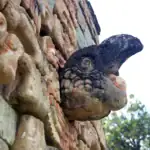 Macaw skull at the ballcourt