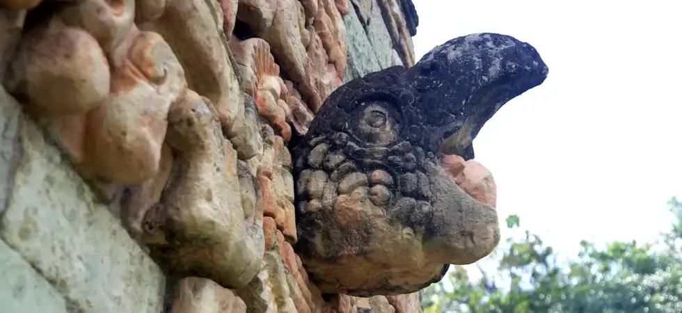 Macaw skull at the ballcourt